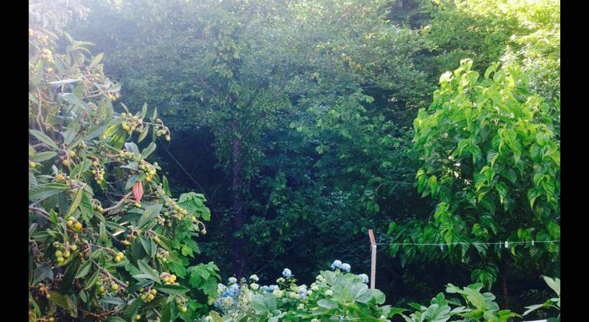 Гостиница У Михалыча Лоо-19